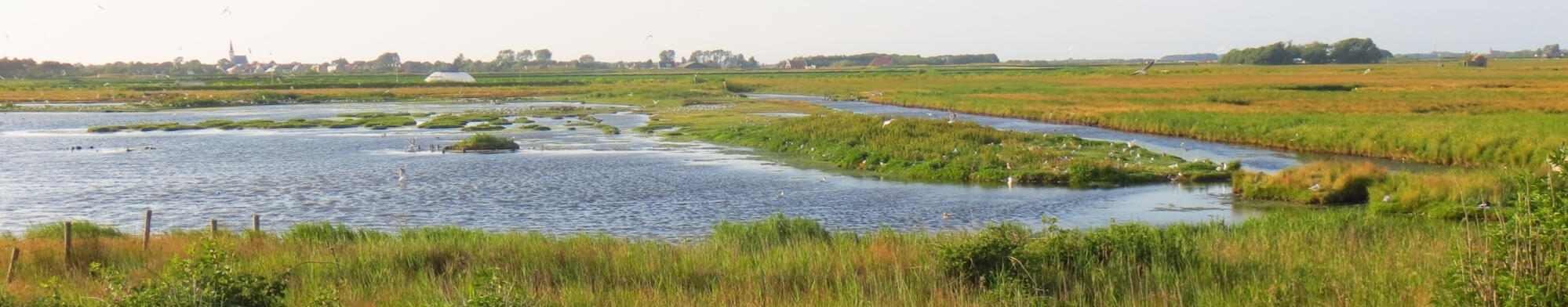 Een goed gesprek - single session - met een ervaren psycholoog op Texel